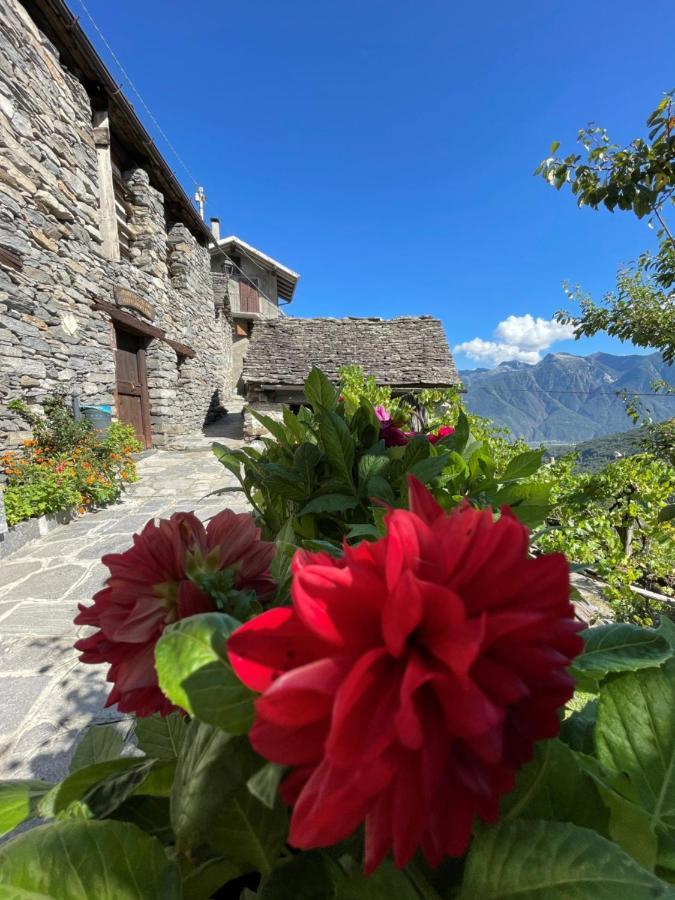 فيلا Casa Vacanze La Carbunera دومودوسولا المظهر الخارجي الصورة