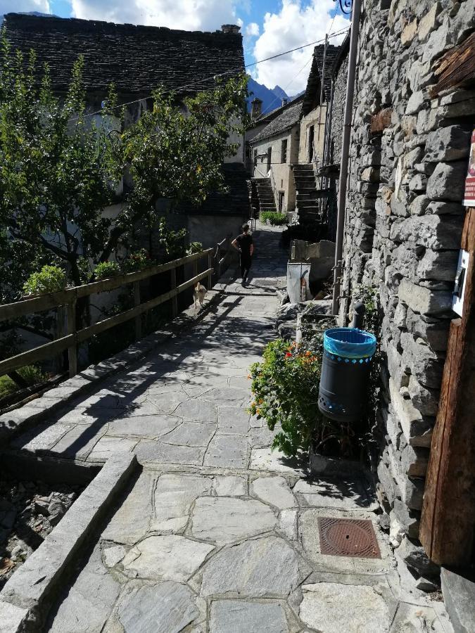فيلا Casa Vacanze La Carbunera دومودوسولا المظهر الخارجي الصورة